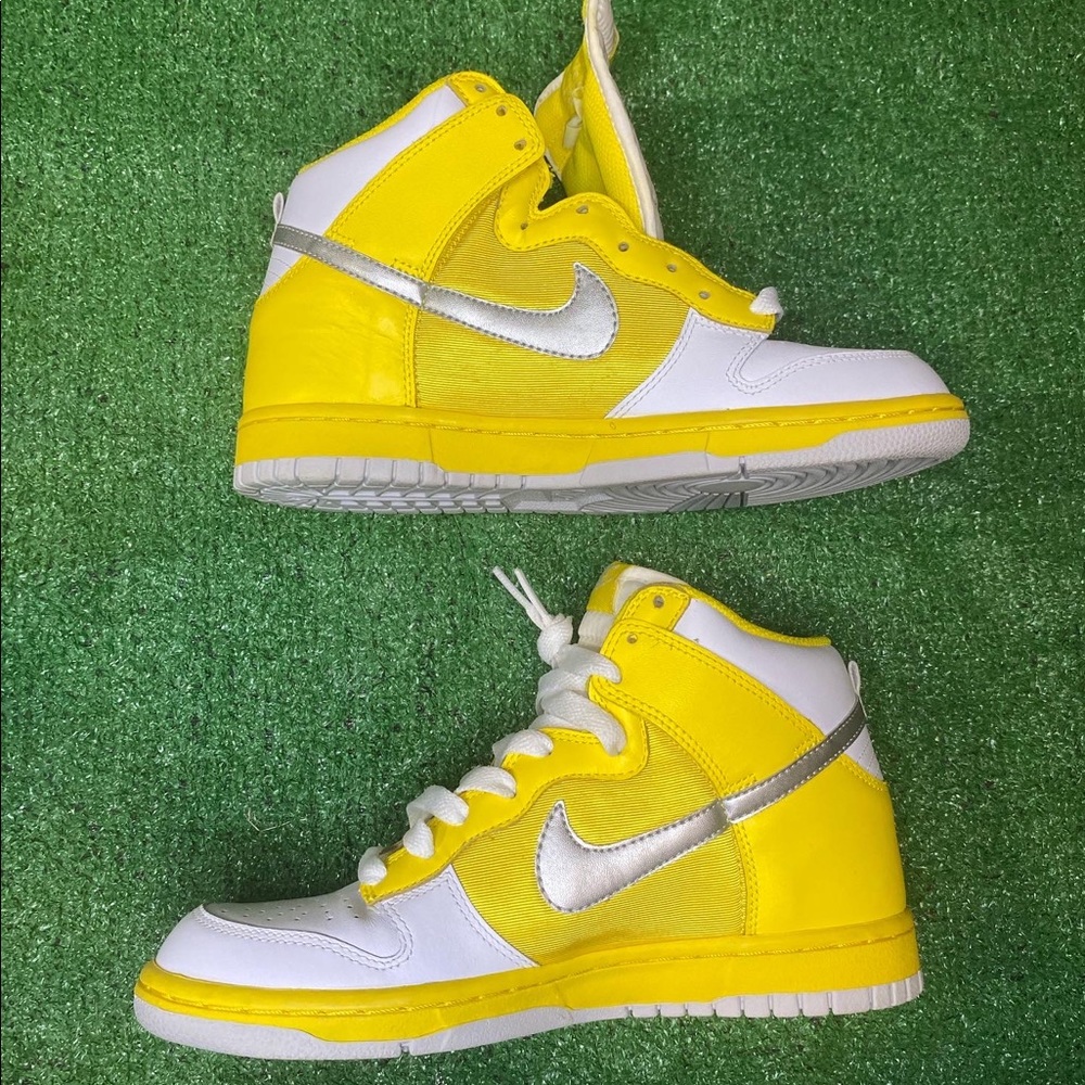 Nike dunk high